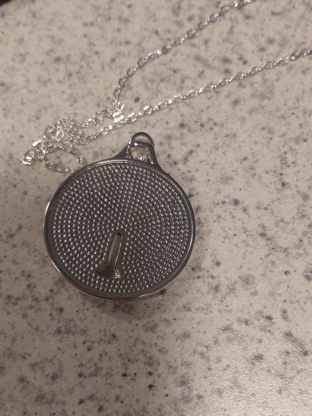 Silver Winged Medallion Pendant Necklace - Women's Jewelry - Picture 2 of 3